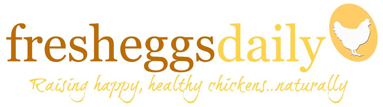 fresh-eggs-daily